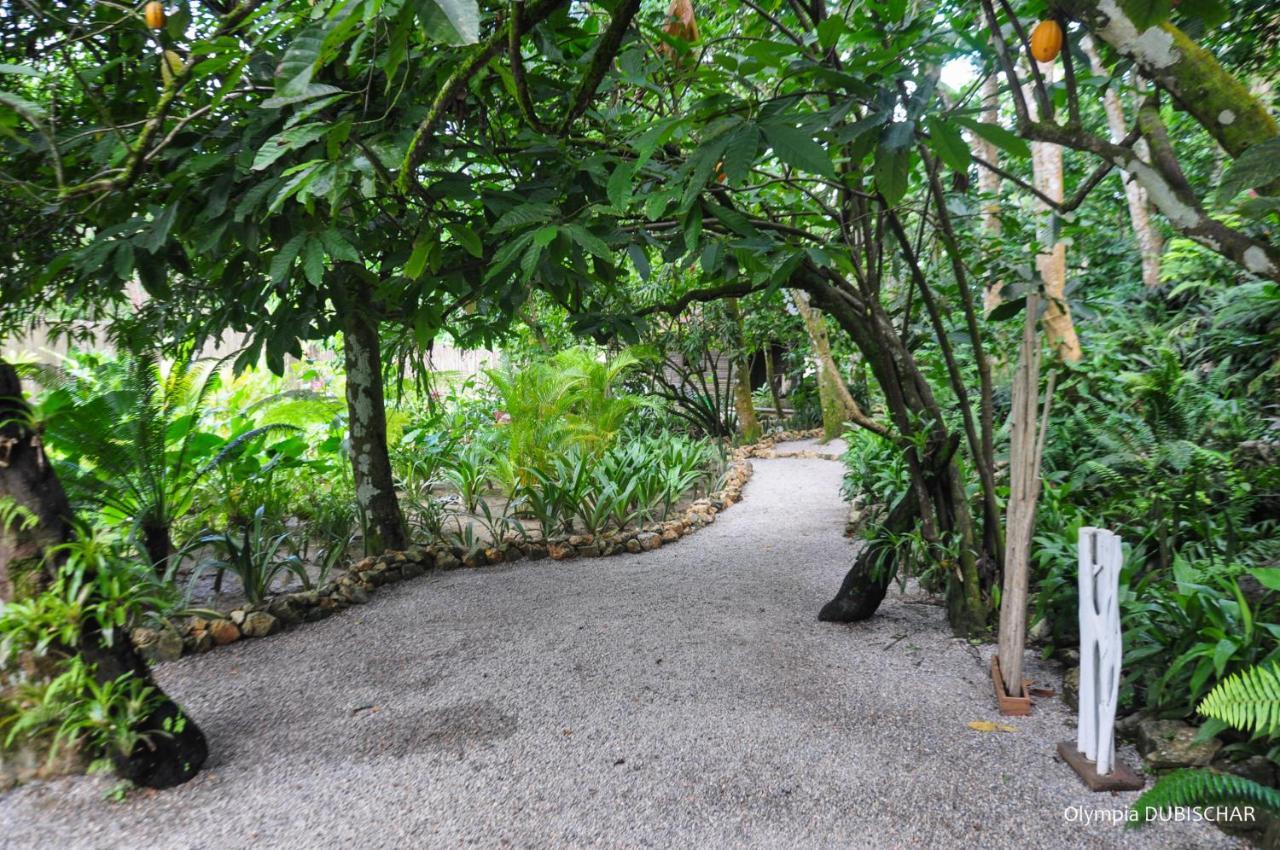 Unique Exotic Hotel Samana Exterior photo