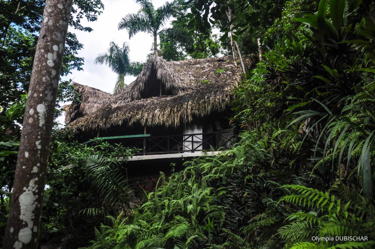 Unique Exotic Hotel Samana Exterior photo