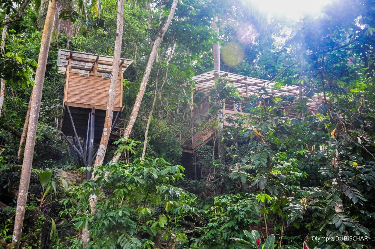 Unique Exotic Hotel Samana Exterior photo