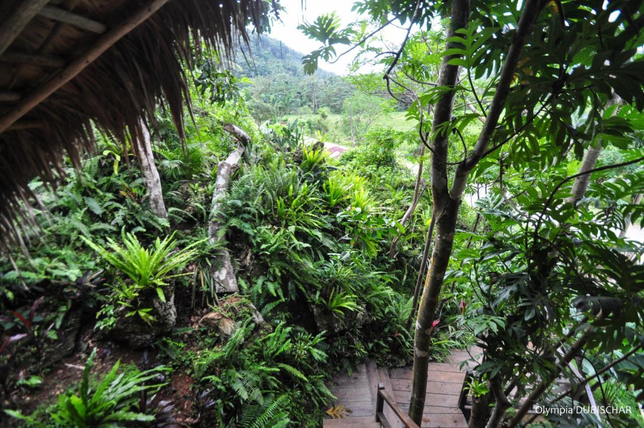 Unique Exotic Hotel Samana Exterior photo