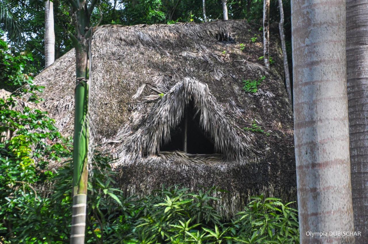 Unique Exotic Hotel Samana Exterior photo